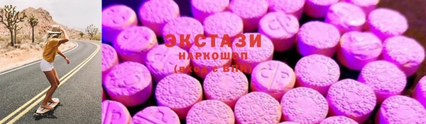гидра Инта