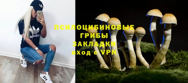 гидра Инта