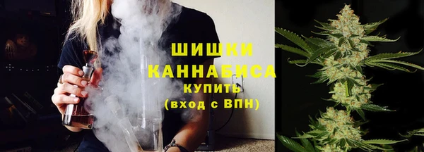 гидра Инта