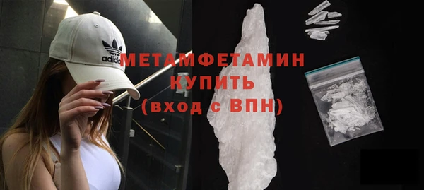 гидра Инта