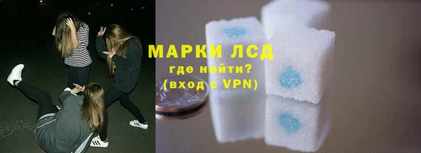 гидра Инта