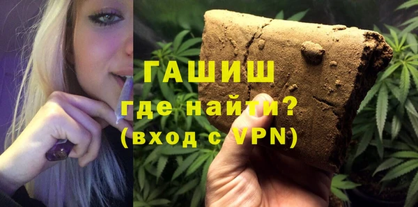 гидра Инта
