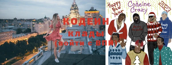 гидра Инта