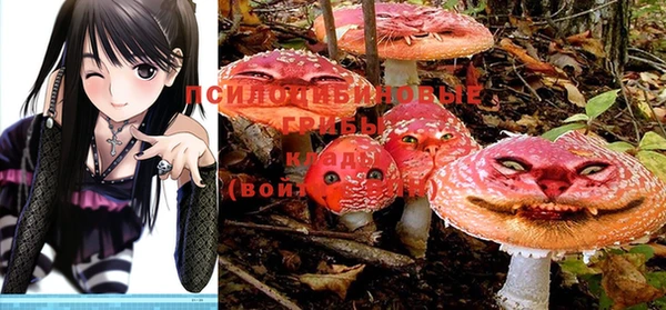 метадон Инсар