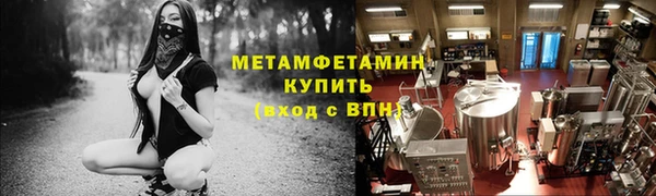 гидра Инта