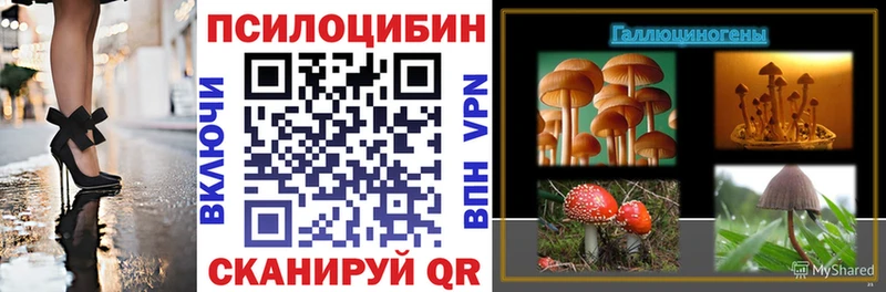 Галлюциногенные грибы мухоморы  Северская 
